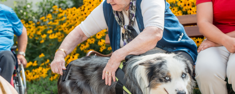 Property Management Ensuring Fair Housing for Assistance Animals: A Guide for Property Managers